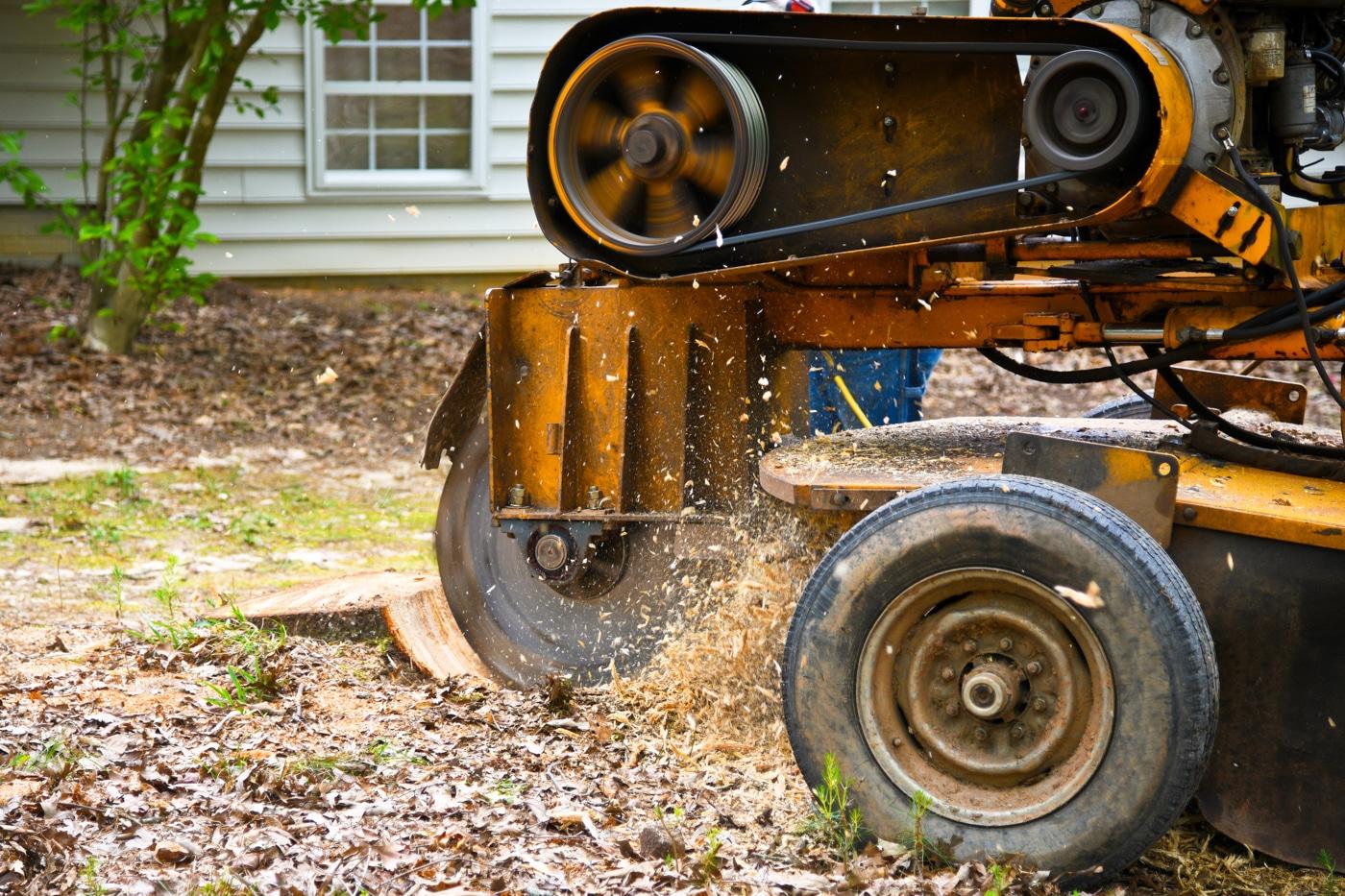Stump grinder chipping a stump below ground level