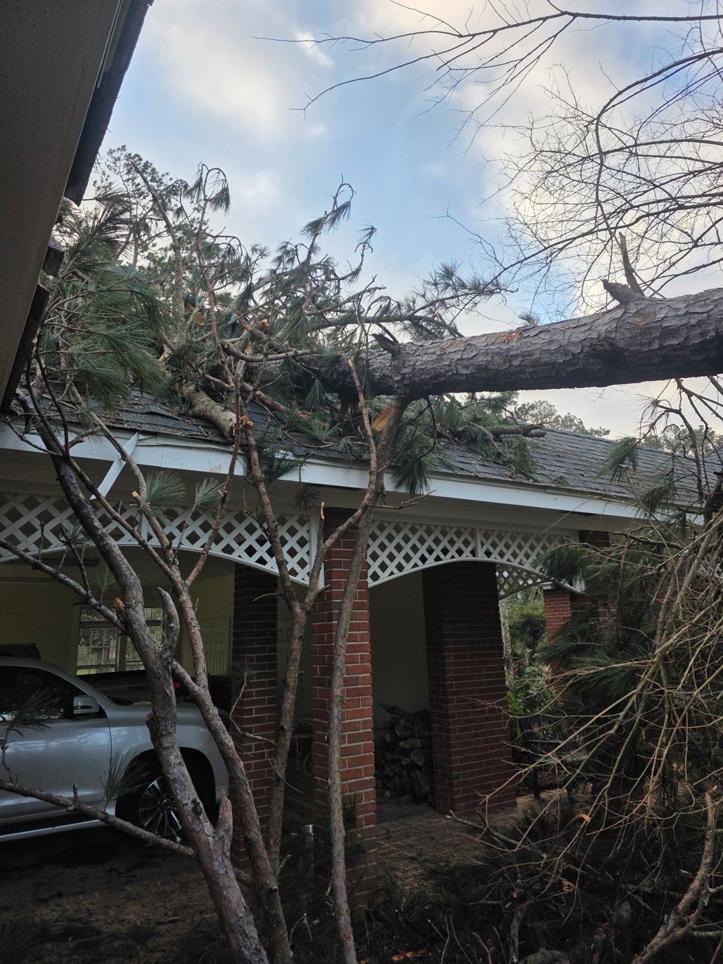Fallen tree on a roof before removal by PLM Stump Grinding